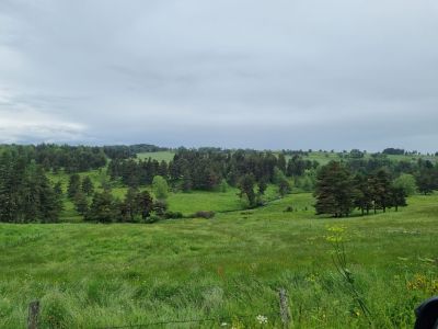 20230604_165032.jpg