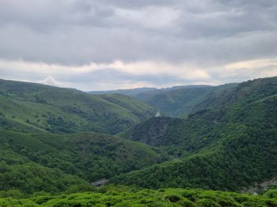 20230531_162444.jpg